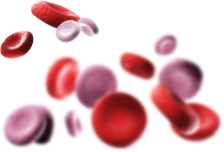 blood cells