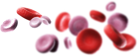 blood cells